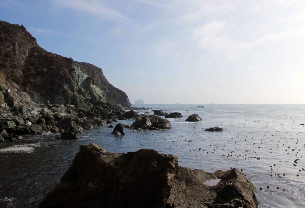 At Jade Cove, looking south