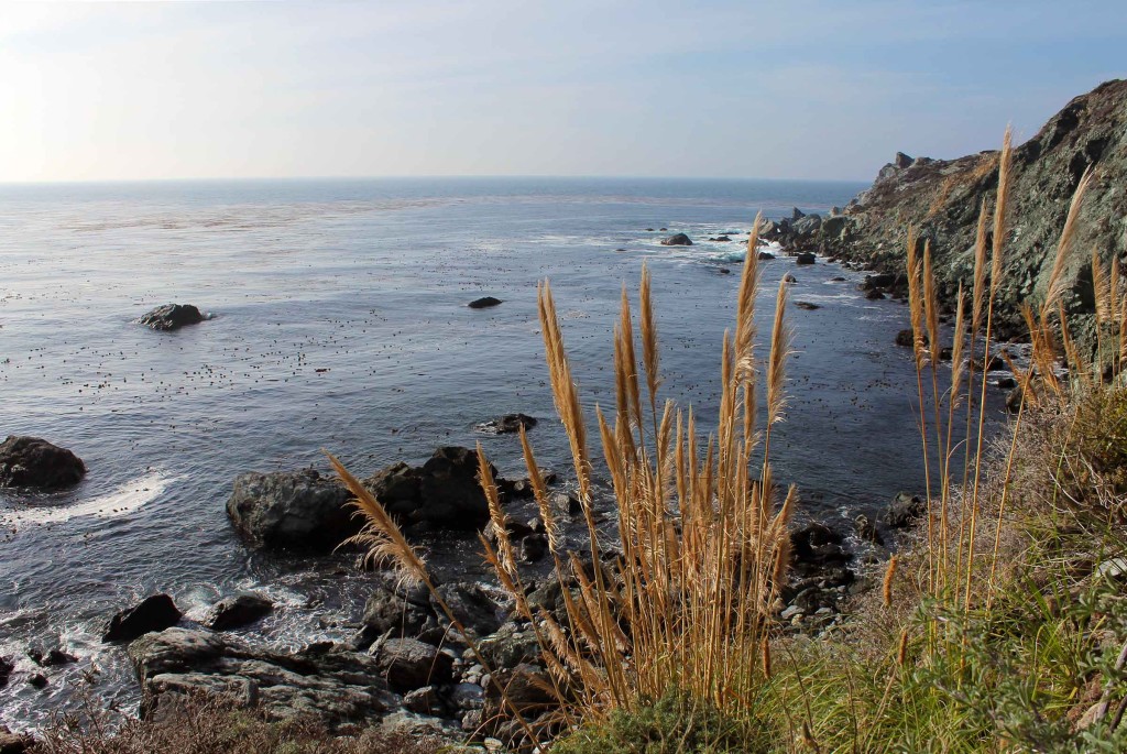 looking out over jade cove