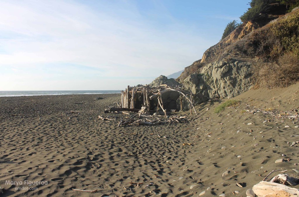 Driftwood hut