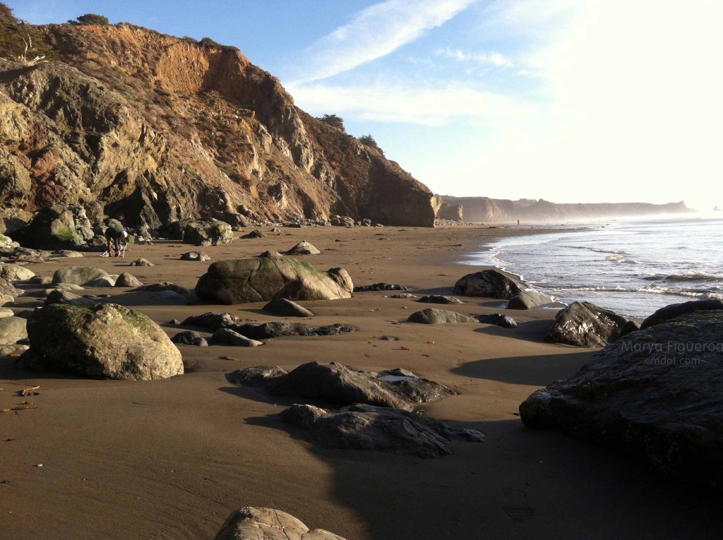 Rocks on the beach